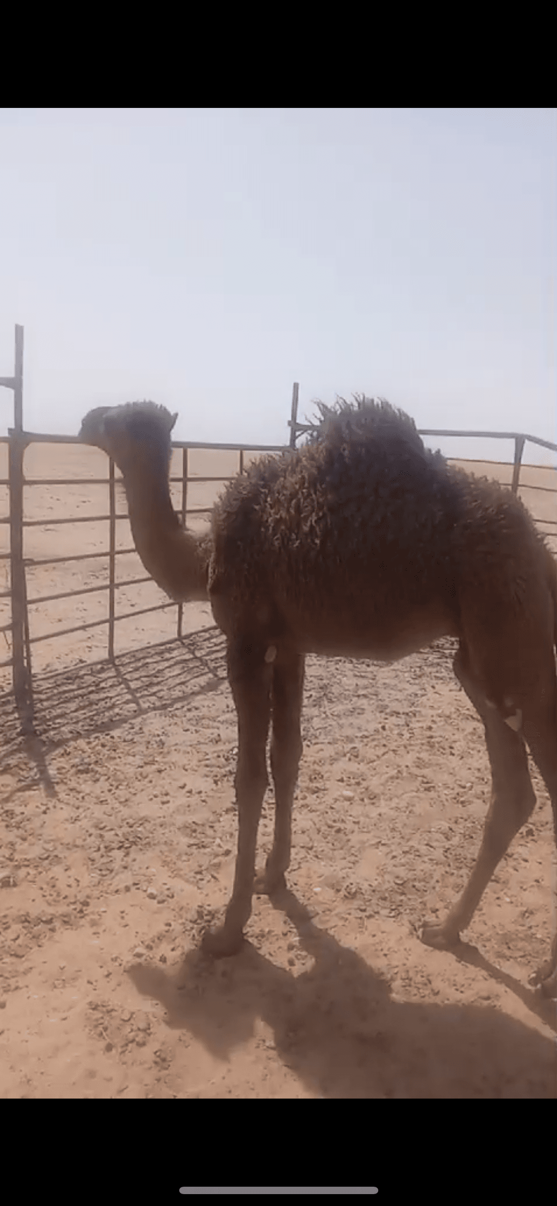 حفرالباطن