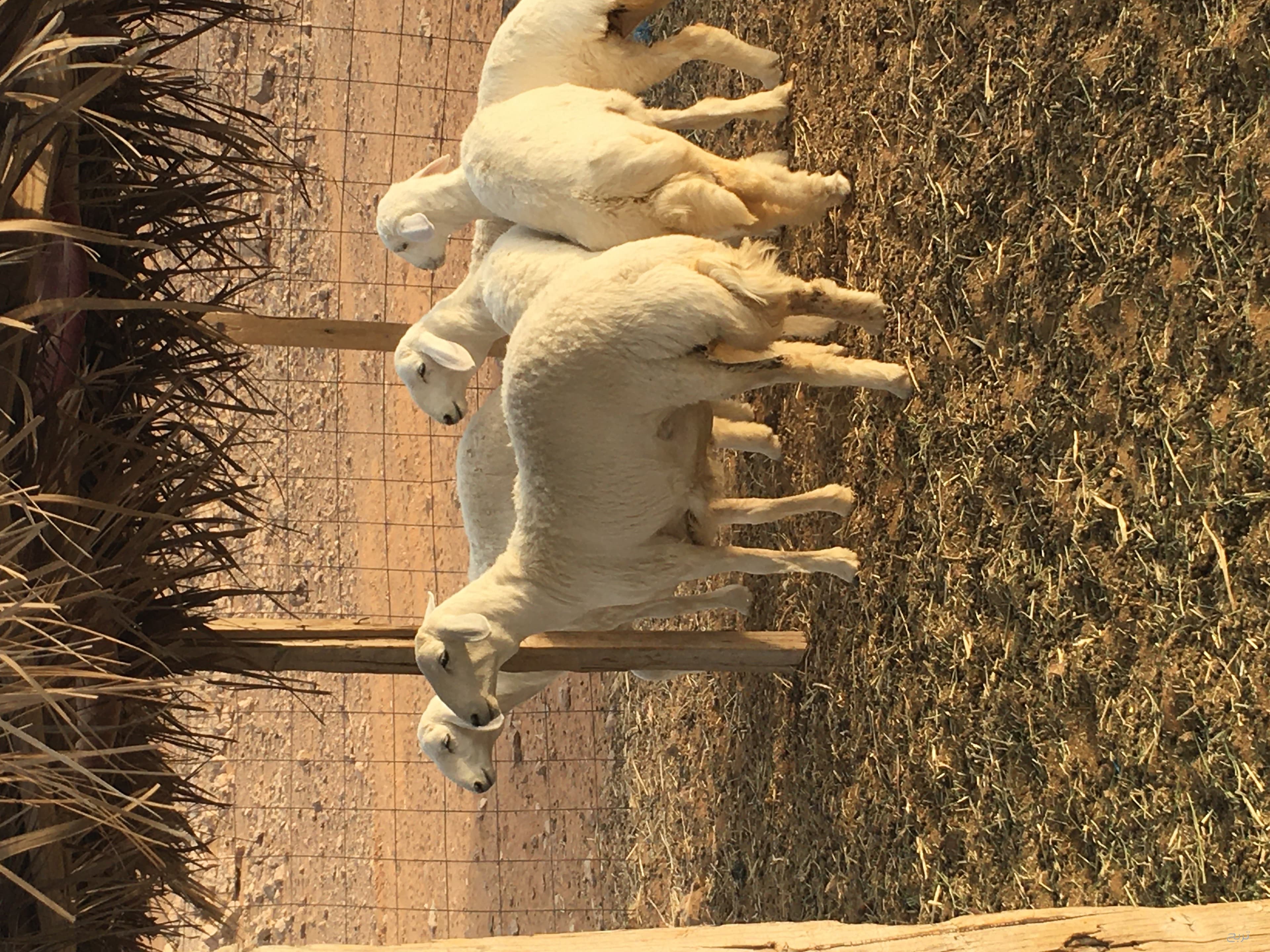 6 10
