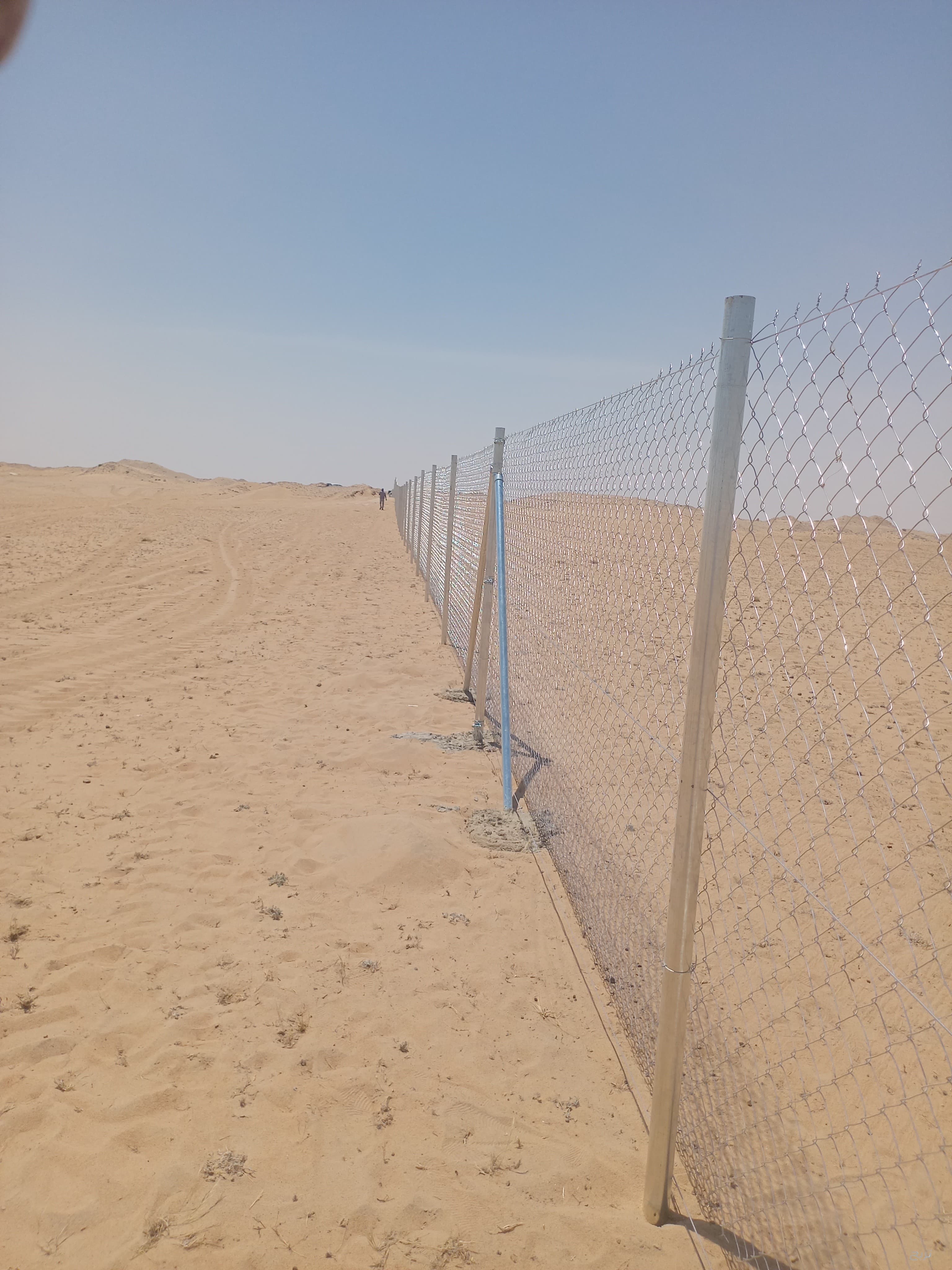 مقاول شبوك ونخيل 0551288900 6