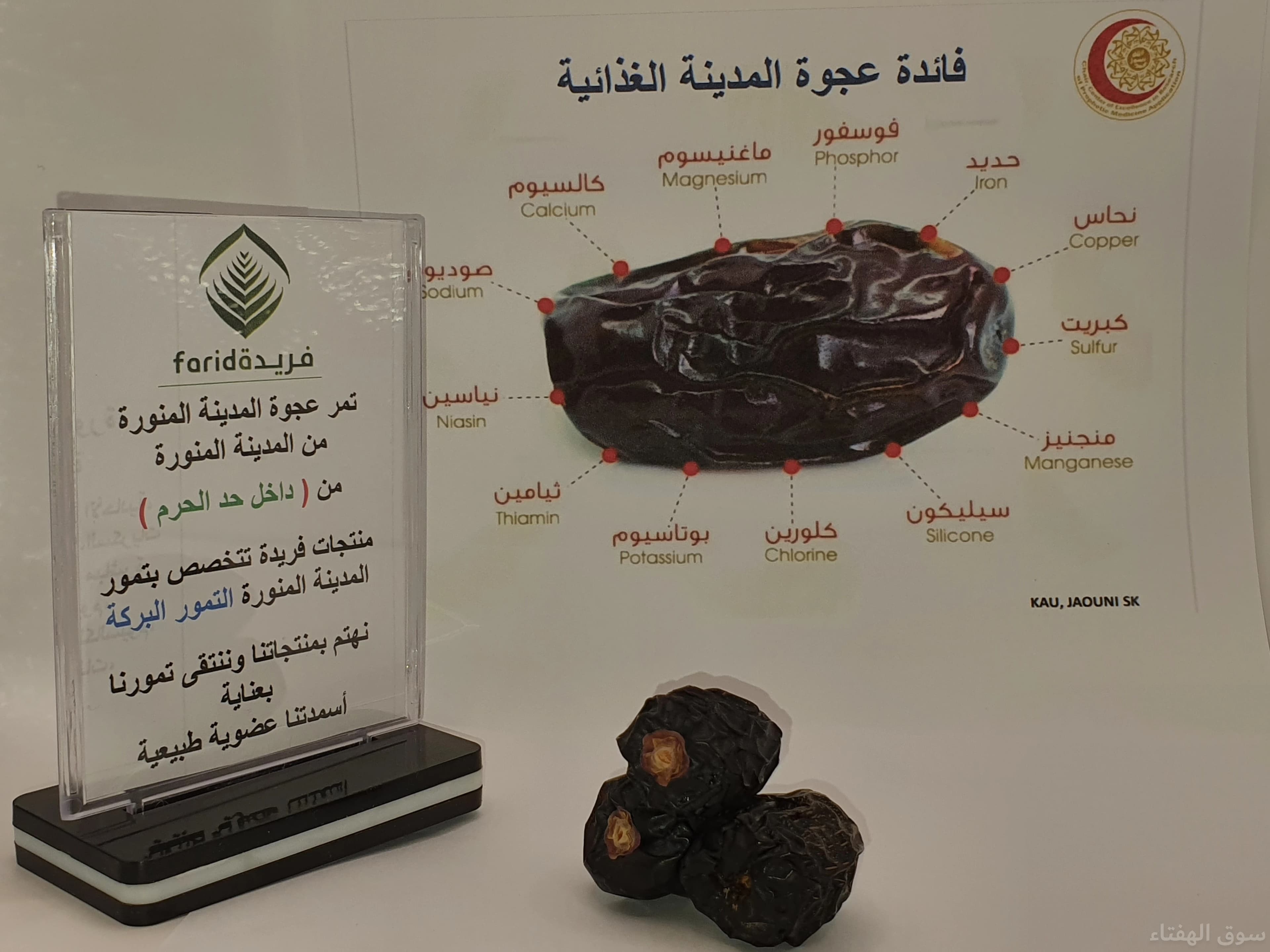 تمر عجوة المدينة المنورة من المدينة المنورة 6