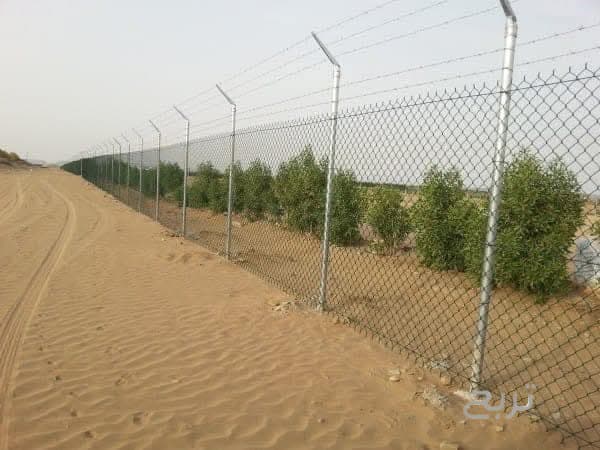 شبوك ملاعب ومزارع وشبوك محميات وأراضي مجلفن 8